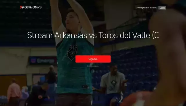 flohoops.com homepage screenshot