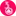 nintendojo.com icon