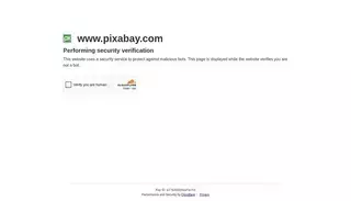 Pixa Bay 6.2 million+ Stunning Free Images to Use Anywhere - Pixabay