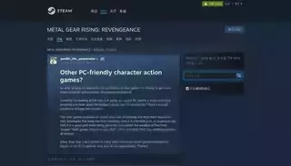 Steam Community Other PC-friendly character action games? :: METAL GEAR RISING: REVENGEANCE 综合讨论
